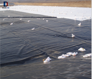 Géomembrane en HDPE/LDPE/LLDPE pour décharge, épaisseur de 0,2 mm à 3 mm - Product Image 6