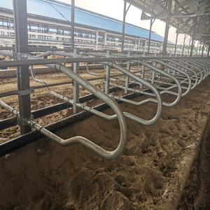 Precio de fábrica, equipo de cría de vacas, establo libre, establos lecheros, cubículos cómodos para vacas para granja lechera - Product Image 1