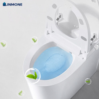 Toilette intelligente minimaliste avec chasse d'eau activée par le pied et filtre à eau sain