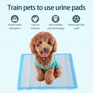 2026 Water Absorption Pets Training Supplies Dogs <b>Pee</b> <b>Pad</b> Durable 100% Cotton Pets Urine <b>Pad</b> Multi-size Odorless Pets <b>Pee</b> <b>Pad</b> - Product Image 6