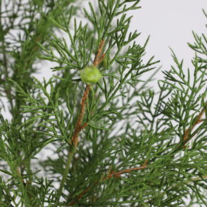 Bustes vertes artificielles pour noël, prix de gros, fausses feuilles en plastique, pour décorer la maison - Product Image 4