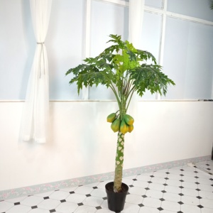 Plastique d'intérieur artificiel <span class=keywords><strong>de</strong></span> haute qualité plantes bonsaï artificielles <span class=keywords><strong>arbre</strong></span> <span class=keywords><strong>de</strong></span> <span class=keywords><strong>papaye</strong></span> 160cm - Product Image 3