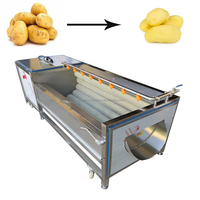 Hot-Selling Automatische Borstelwasmachine Voor Gember, Yam, Pinda-Groente-En Fruitreiniger Met Hoge Capaciteit Met Een Goede Prijs