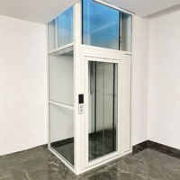 Mini-ascenseur domestique fourni directement par l'usine, ascenseur extérieur personnalisé pour villa, petit ascenseur résidentiel pour maison