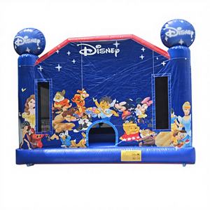 Castillo Inflable con Material de PVC para Alquiler en Fiestas Infantiles y Uso Comercial - Product Image 1