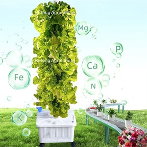 Système Breveté de Culture Hydroponique Verticale d'Extérieur Hors-Sol pour Jardinage et Agriculture - Product Image 5