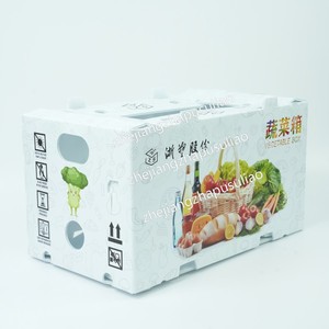 Không thấm nước PP nhựa trái cây và rau hộp lưu trữ với thiết kế dập nổi cho thực phẩm và mèo lưu trữ - Product Image 3