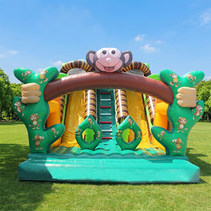 WINSUN Tobogán Inflable con Boca Grande, Tobogán Seco de PVC, Personalizado - Product Image 1