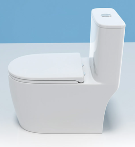 Inodoro de Cerámica de Dos Piezas con Salida Trasera para Baños Pequeños - Product Image 1