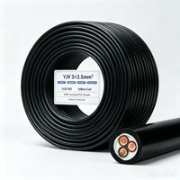 Cable de Alimentación para Iluminación de Edificios, 3 Núcleos, 2.5mm2, Aislamiento XLPE, Revestimiento de PVC, Cobre, 0.6/1kV, 100m/200m por Tambor, para Oficina y Garaje