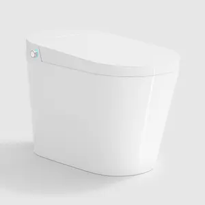 Удлиненный умный туалет со встроенным резервуаром для воды