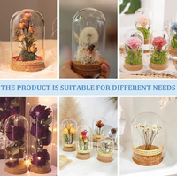 Glazen koepelvormige display met kurken deksels, decoratieve cloche, belvormige glazen stolp, planten specimen, knutselwerk, Pasen, eeuwige bloem, LED verlichte afdekking