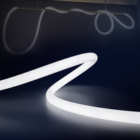 Commercial intérieur 360 ° rond néon bande lumineuse luxe décoratif rond pendentif lumière salon 10 M/rouleau