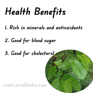 Dut meyve yaprağı ekstresi ücretsiz örnek tozu antosiyanin çin fabrika bitkisel doğal dut yaprağı ekstresi - Product Image 5