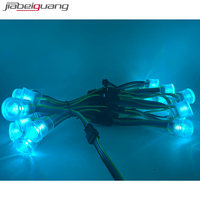 Light China Factory 2025 Venta caliente Led Rgb Luz que cambia de color Smd5050 20mm Pixel Led Point Light