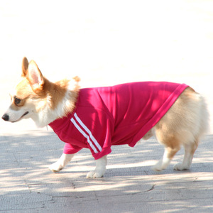 Sudadera con capucha estilo campus para perros, azul y rojo retro, deportiva y moderna, ropa para mascotas para todas las estaciones, para Teddy, Bichón, Schnauzer, Corgi - Product Image 4