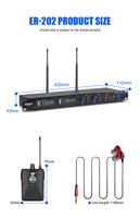 Système de monitoring intra-auriculaire sans fil professionnel ER-202 à 20 canaux BT5.0 XLR pour scène, chant, studio, métal et plastique