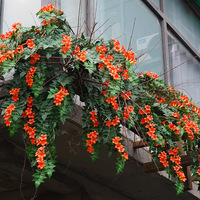 Fleur artificielle réaliste Lingxiao Trumpet Vine faite à la main en gros pour fond de mur rouge, idéale pour mariage, Noël, fête des Mères
