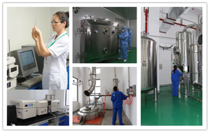 Vendita calda naturale naturale puro <span class=keywords><strong>Garcinia</strong></span> <span class=keywords><strong>Cambogia</strong></span> <span class=keywords><strong>Garcinia</strong></span> <span class=keywords><strong>Cambogia</strong></span> estratto in polvere - Product Image 4