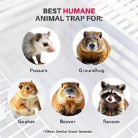 Cages à pièges métalliques personnalisées OEM - Conception pliable portable, étanche et écologique pour la capture et le sauvetage de petits animaux