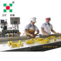 High Yield IQF volle maïs kolf vrieslijn, complete set maïs kolf verwerkingsmachines voor voedingsmiddelenfabriek