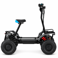 Vente en gros de quad ATV 4000W, quad à quatre roues, batterie lithium 60V 30Ah, tout-terrain, hors route, scooter électrique de montagne, personnalisable