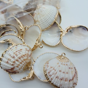 Varios nuevos encantos de playa de concha <span class=keywords><strong>Real</strong></span> Enfoque de concha moda oro Natural sumergido <span class=keywords><strong>almeja</strong></span> encantador pequeño Vieira DIY encantos - Product Image 6