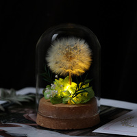 Dôme en verre fait main avec pissenlit éternel, fleurs préservées, cadeau, veilleuse, décoration de table et d'intérieur, plantes décoratives