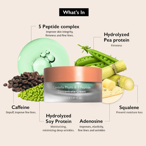 ครีมเข้มข้น Centella <span class=keywords><strong>Phyto</strong></span> & 5เปปไทด์ครีมบำรุงทุกวันและกลางคืนปรับปรุงริ้วรอย - Product Image 3