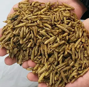 Microwave Black Soldier Fly Larvae Drying Machine Cabinet Type Mealworm Microwave Dryer