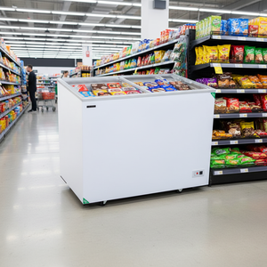 Cofre de puerta de cristal de supermercado comercial de 303L congelador de cristal templado Pantalla de helado para uso de conservador - Product Image 3