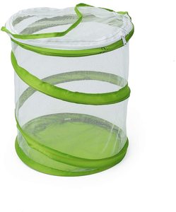 Gelsonlab HSNT-021 Pop-up di Insetti e Farfalla Habitat Gabbia Terrario Versione Aggiornata, vedere Attraverso Più Facile 14*18cm di Altezza - Product Image 4