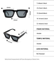 Lunettes de soleil polarisées unisexes Sifier en acétate, monture transparente de haute qualité, lunettes de mode pour hommes et femmes, vente en gros