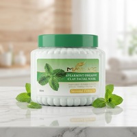 OEM Menthe Verte Rafraîchissante Exfoliante Élimine les Peaux Mortes Éclaircissante Hydratante Masque Exfoliant à l'Argile Visage et Corps pour Hommes et Femmes