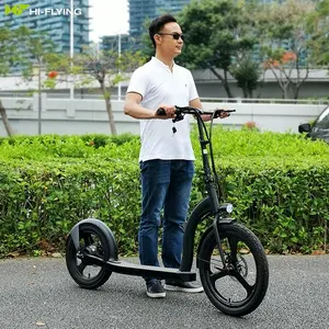 OEM ODM菲律宾批发商350w 10Ah大轮踏板车自行车越野电动踏板车成人大轮电动踏板车