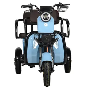 Vendite dirette in fabbrica nuovo stile triciclo elettrico per raccogliere passeggeri e merci per bambini