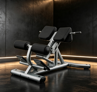 Chaise romaine réglable pour extensions dorsales, banc abdominal, équipement de fitness commercial et domestique en acier au carbone de haute qualité, personnalisable