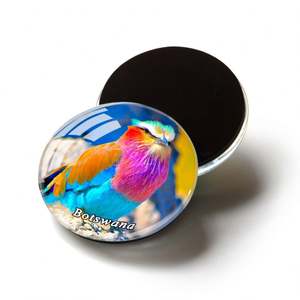 Custom Botswana Souvenirs Flag Three-Dimensional Fridge <b>Magnets</b> Wild Animal Photo Printing Round Square Glass <b>Magnet</b> - Product Image 2