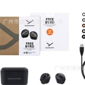 Écouteurs sans fil True Wireless Free Byrd avec suppression du bruit, chargement Type C, Bluetooth 5.0 pour Android et iOS - Product Image 1