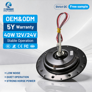 210 3-Phase Induction Brushless DC Ceiling Fan Motor 230 RPM 40W 50/60HZ High Efficiency Brushless DC Motor
