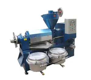 Good quality oil press plant sunflower Sesame flax seed Cold pressing avocado oil making line munufacrure