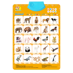 Affiches pédagogiques murales avec sons audio pour l'apprentissage scolaire – Plusieurs types disponibles – Offre spéciale - Product Image 2