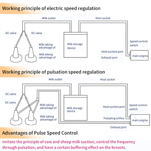 Piccolo animale mungitrice, mucca e pecora mungitura tipo di ricarica - Product Image 4