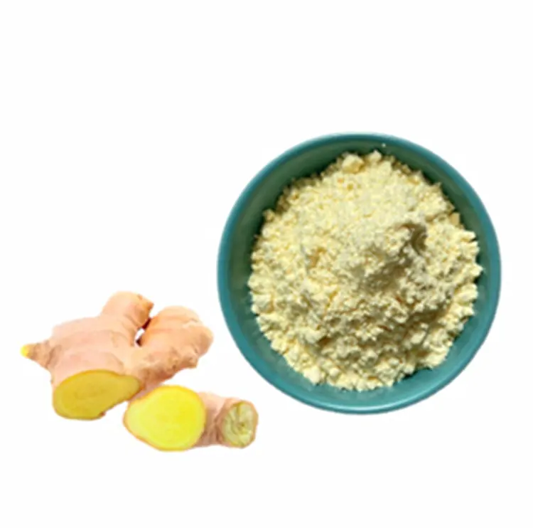 BCI yüksek kalite saf zencefil kökü özü Gingerol tozu zencefil özü