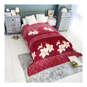 <span class=keywords><strong>100polyester</strong></span> mềm thiết kế in Hai Lớp đôi kích thước tùy chỉnh flannel lông cừu chăn cho giường - Product Image 1