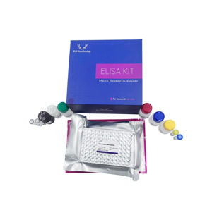 Kit ELISA pour le Facteur de Croissance des Fibroblastes 2 (FGF2, Basique) humain ELK1258 |   ELISA sandwich pour la recherche scientifique - Product Image 4