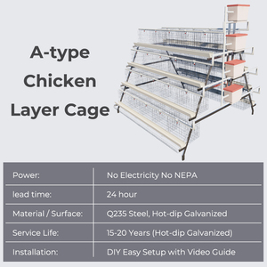 Cage à poules pondeuses de type A, 4 niveaux, 4 portes, équipement pour l'élevage en batterie de poules pondeuses en ferme - Product Image 2