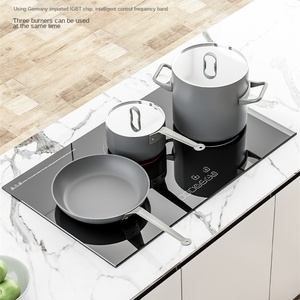 Oferta de fábrica Cocina infrarroja de inducción comercial 6 quemadores Panel de cerámica Pantalla táctil Vidrio/Carcasa de plástico RV Uso al aire libre - Product Image 4