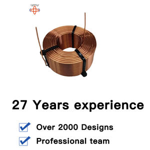 OEM ODM personnalisé Audio 0.50mH Inducteur à 20 noyaux Inducteur à bobine d'air croisé - Product Image 6