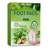 Patchs de Soin des Pieds à l'Armoise et au Gingembre, Apaisants et Relaxants pour la Nuit, 10 Pièces par Boîte, Vente en Gros OEM ODM